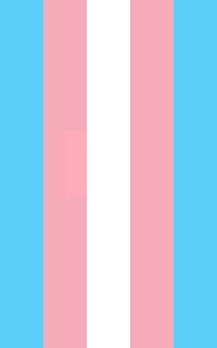 Trans Flag