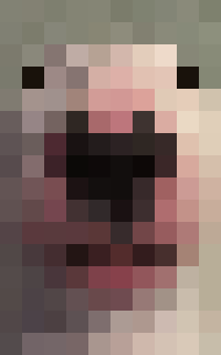 WALTER - with elytra