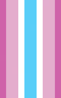 Femboy Flag