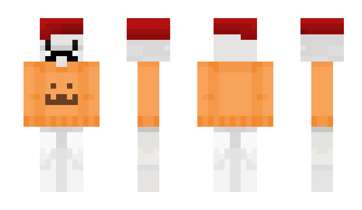 toy19 Minecraft Skin