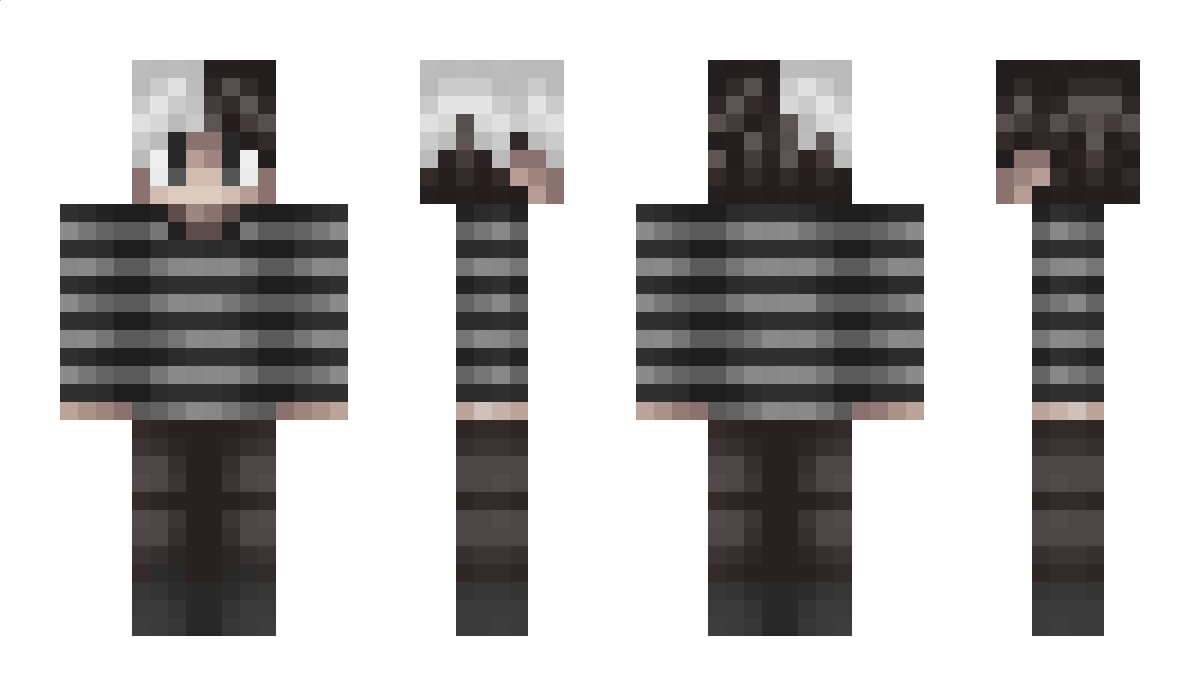 basset Minecraft Skin