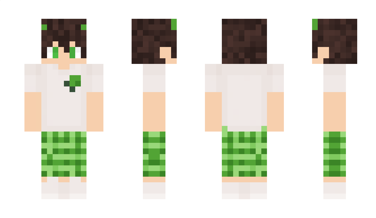 comeflyaway233 Minecraft Skin