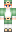 IcyNotIccy Minecraft Skin