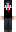 Gatto_completo Minecraft Skin