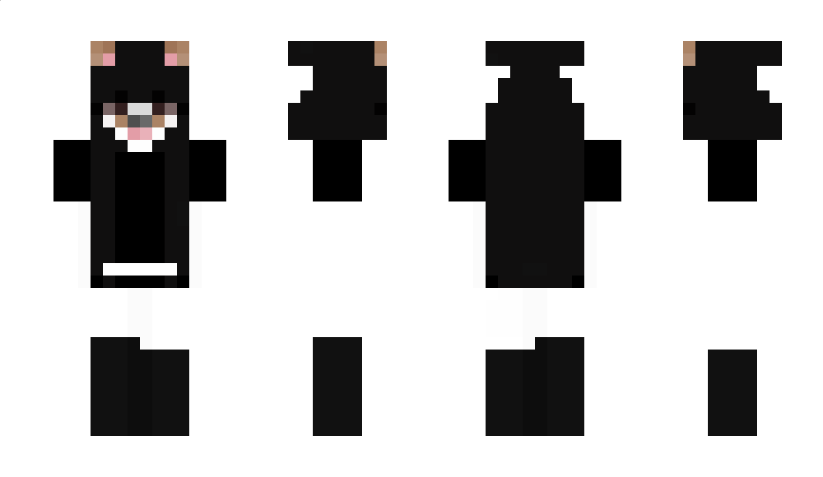 EvDims Minecraft Skin