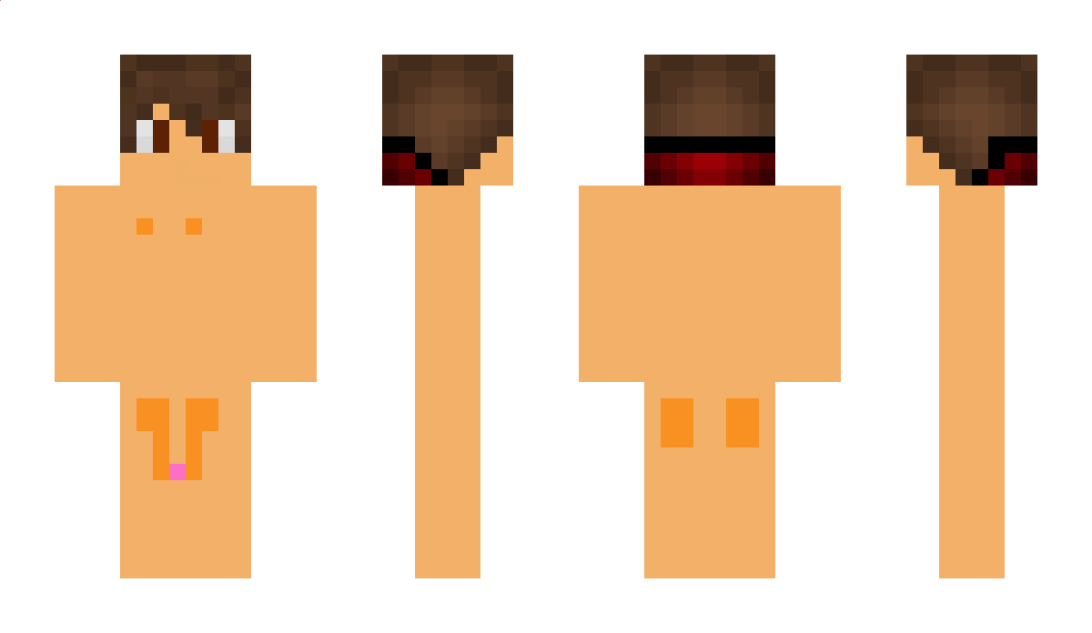 DieEnte56 Minecraft Skin