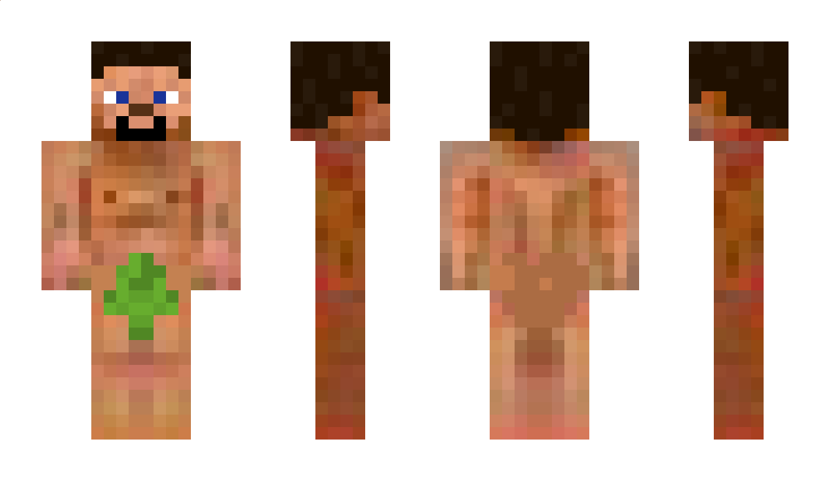 Fer Minecraft Skin