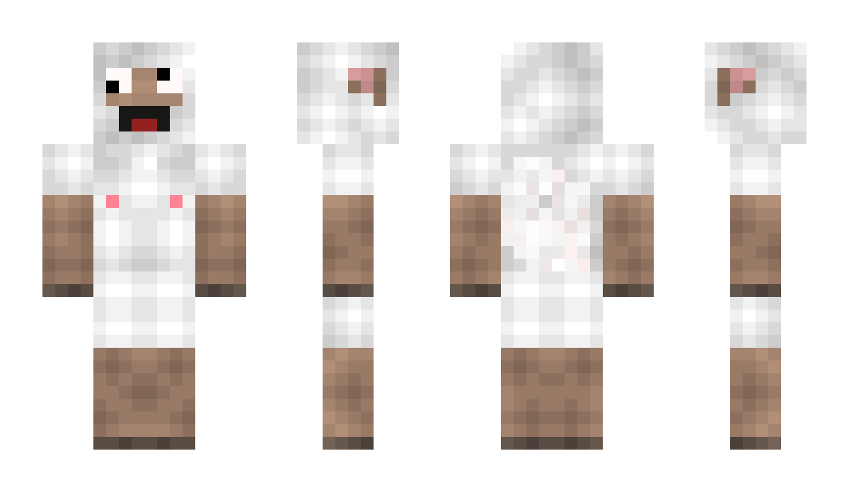 Stannik Minecraft Skin