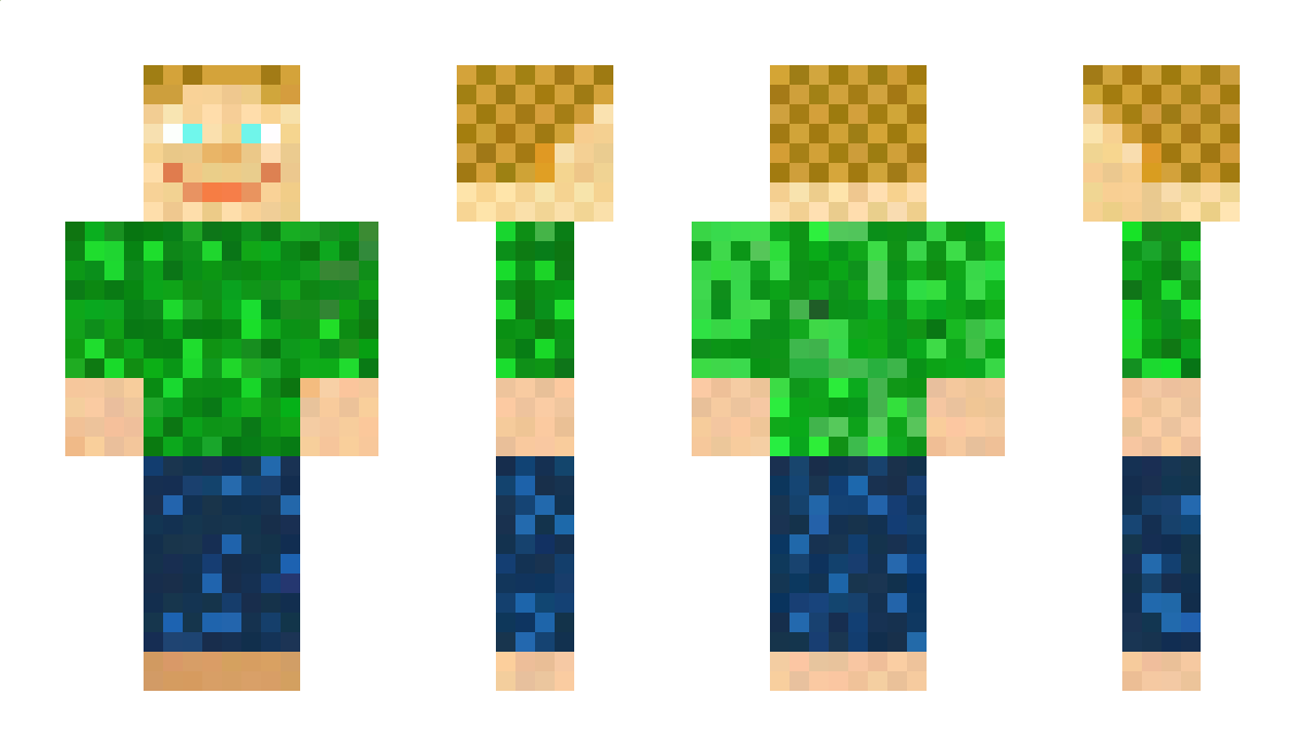 SungBeatle40K Minecraft Skin