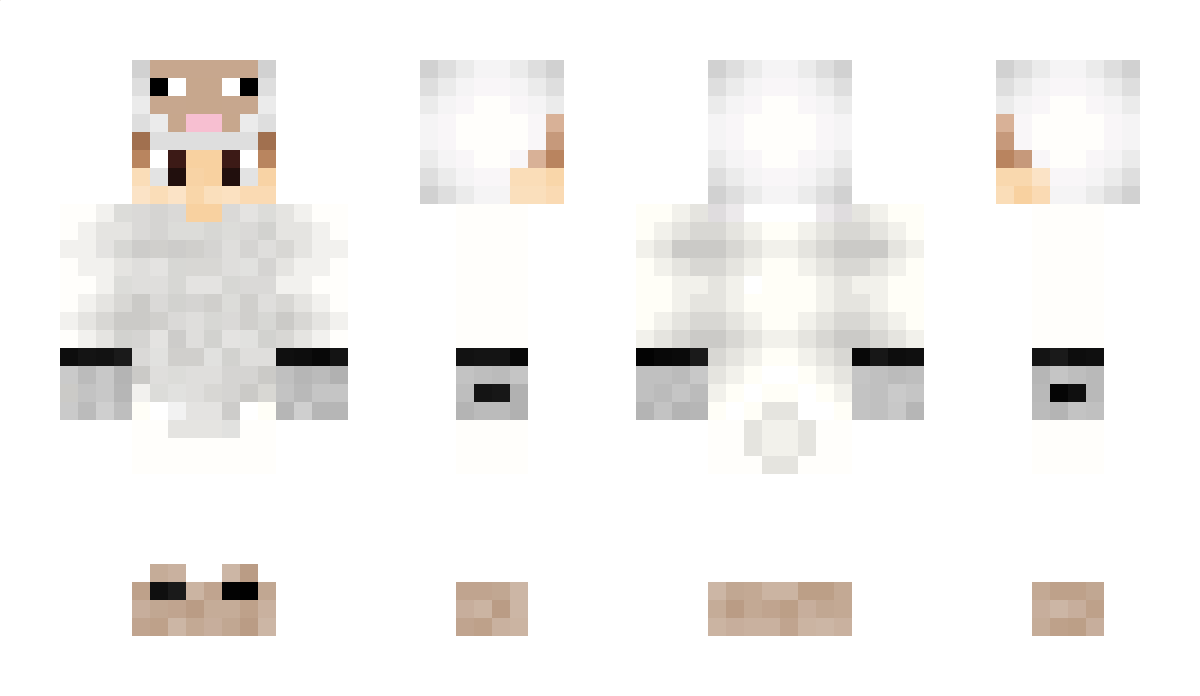 Baran4 Minecraft Skin