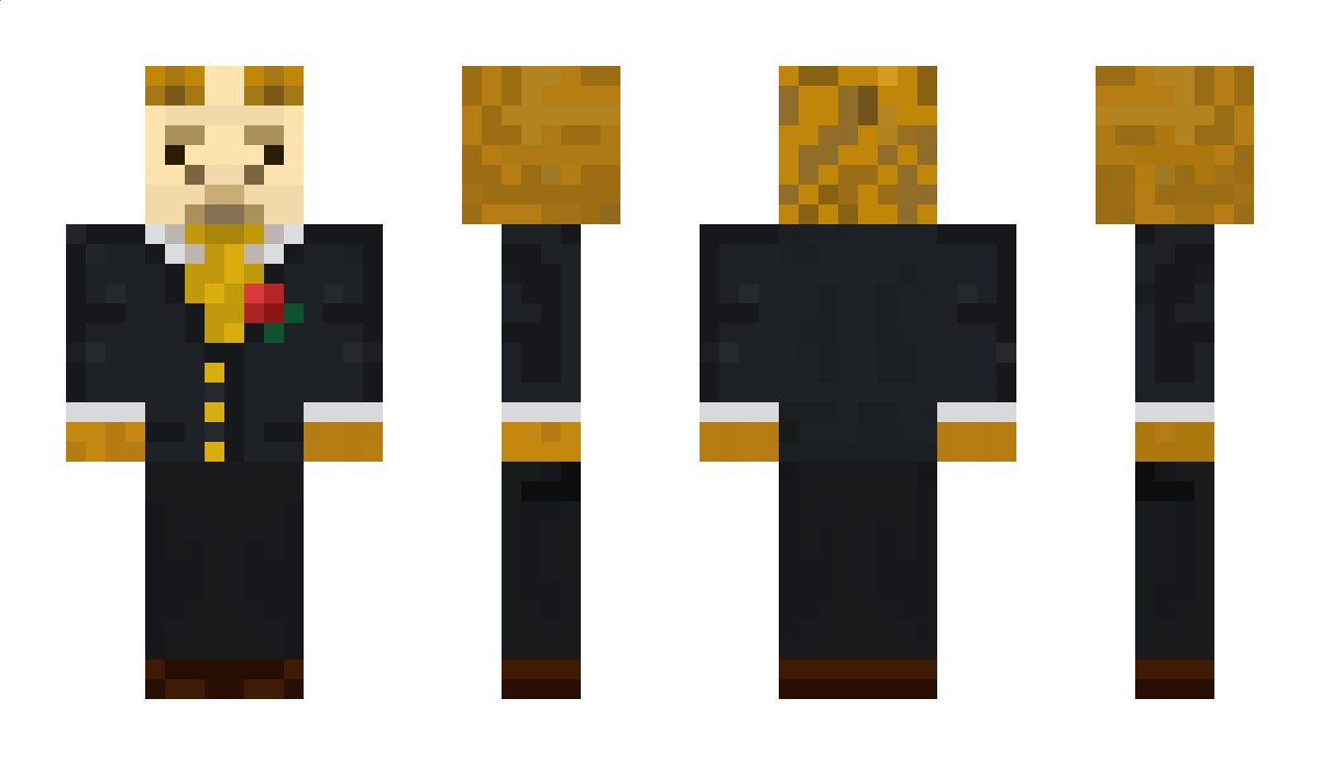 llamaking767 Minecraft Skin