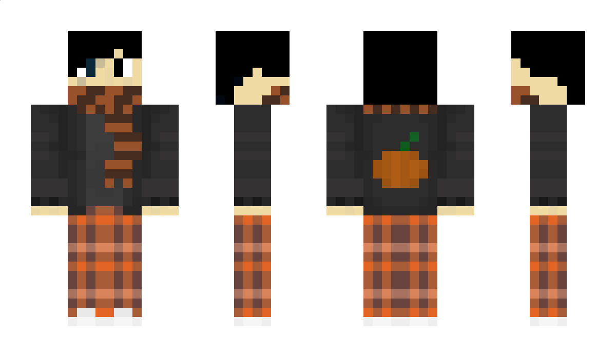 Erbium99 Minecraft Skin