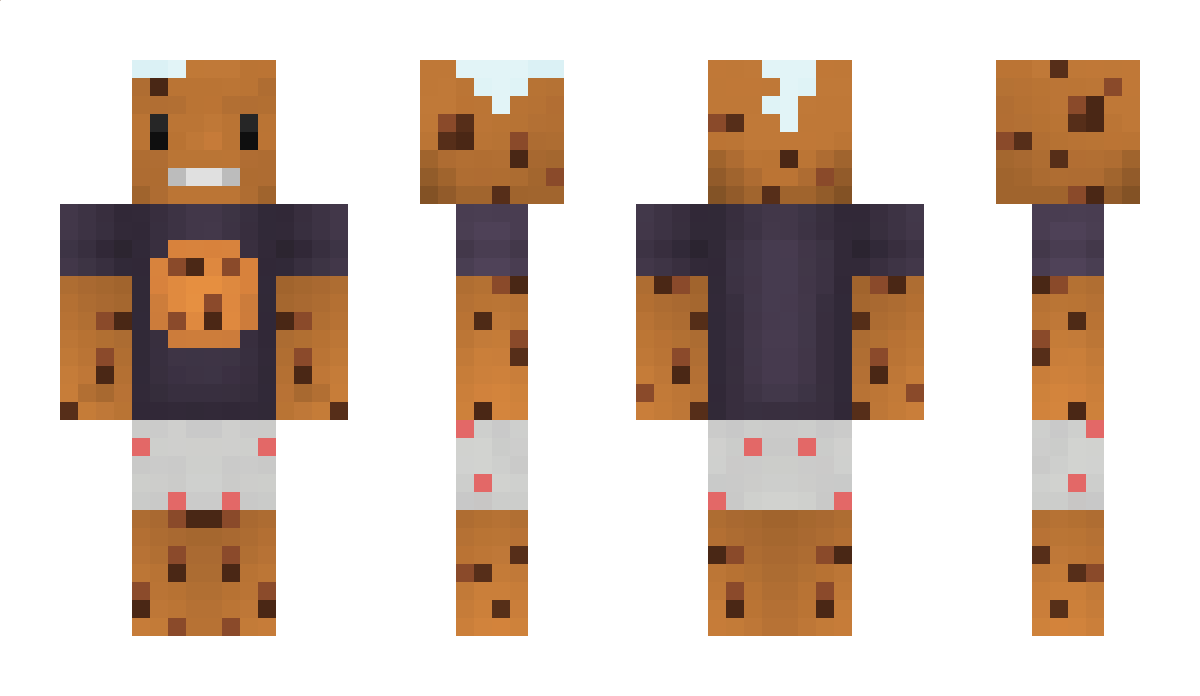 PvPenforcer0 Minecraft Skin