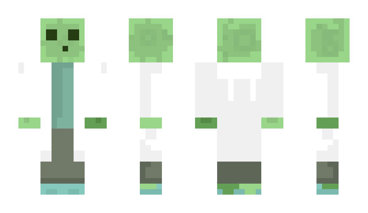 WhiteWings Minecraft Skin