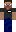 PWA16 Minecraft Skin