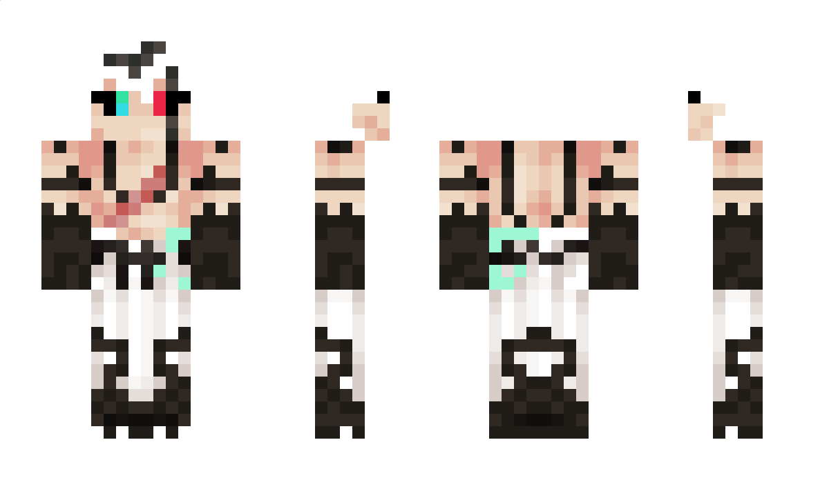 InkSacShaded Minecraft Skin