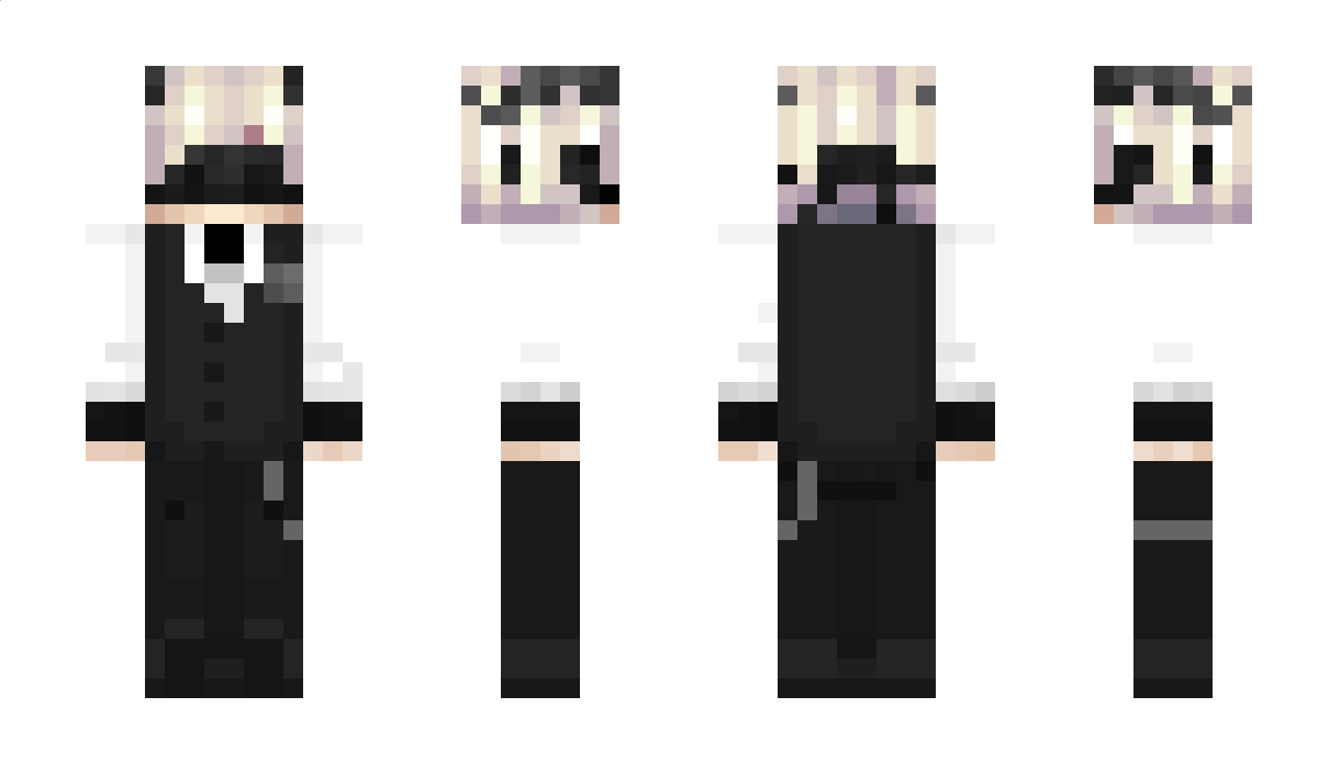 Hwi Minecraft Skin