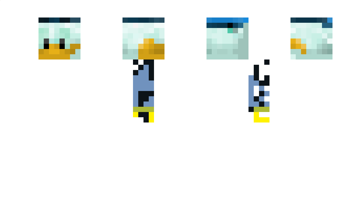 duckboy17 Minecraft Skin