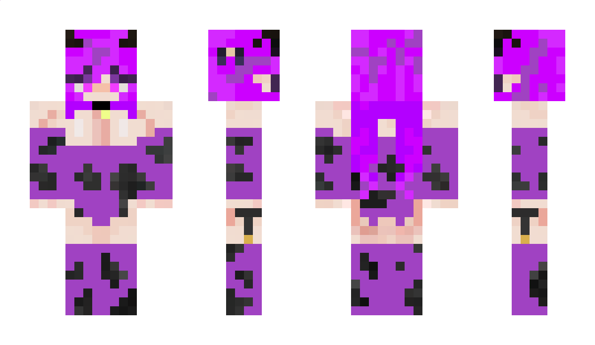 LPJ2705 Minecraft Skin