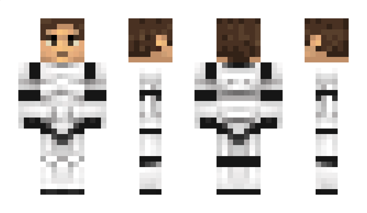 Tokusatsu Minecraft Skin