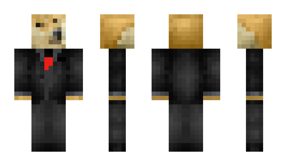 DogepIayerpro198 Minecraft Skin