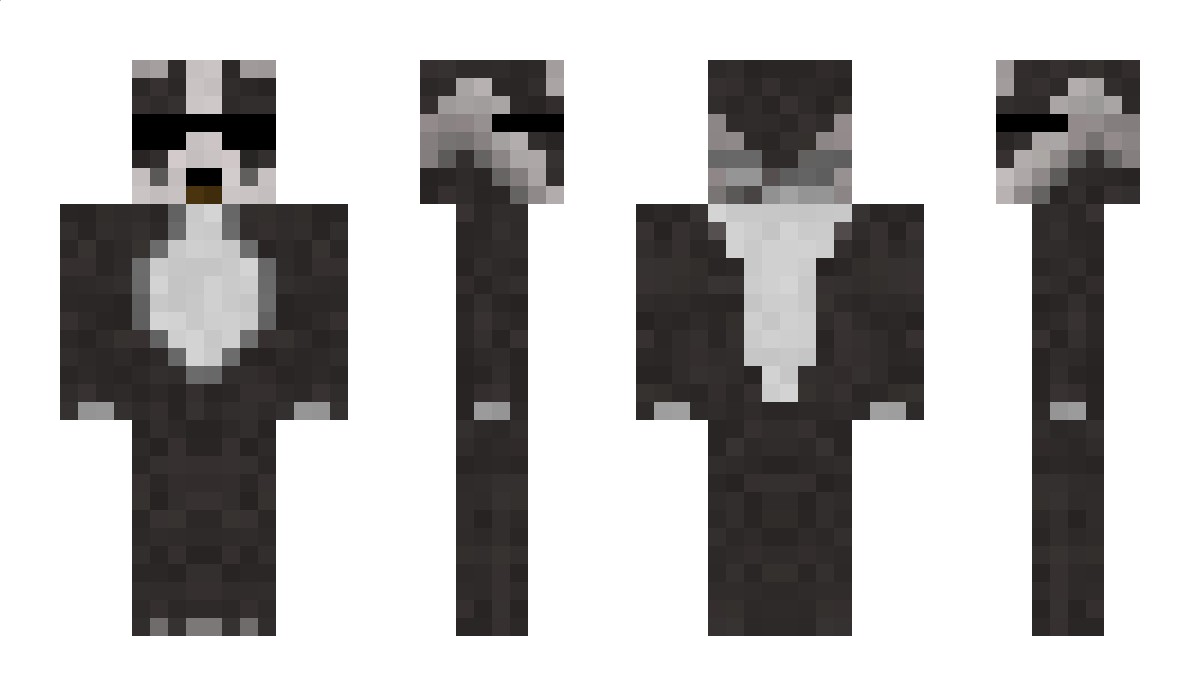 VoxelMap Minecraft Skin