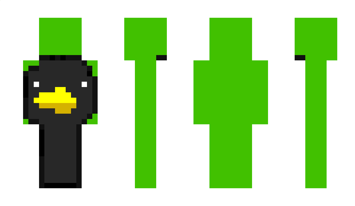 OzimekPL Minecraft Skin