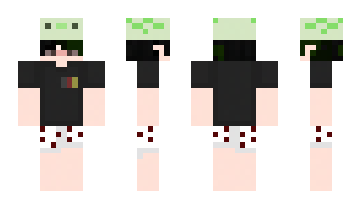 Deltawarriors Minecraft Skin