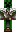 didilord Minecraft Skin