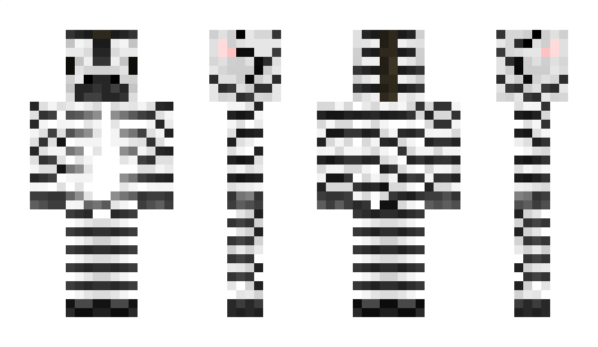 _zxbra Minecraft Skin