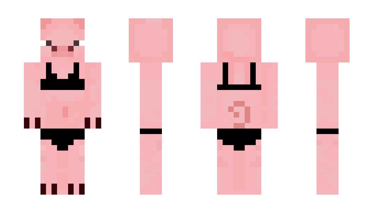 mroe Minecraft Skin