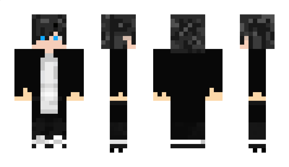 Vinylo Minecraft Skin