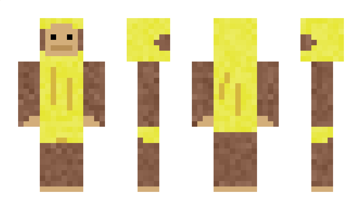 Tester Minecraft Skin