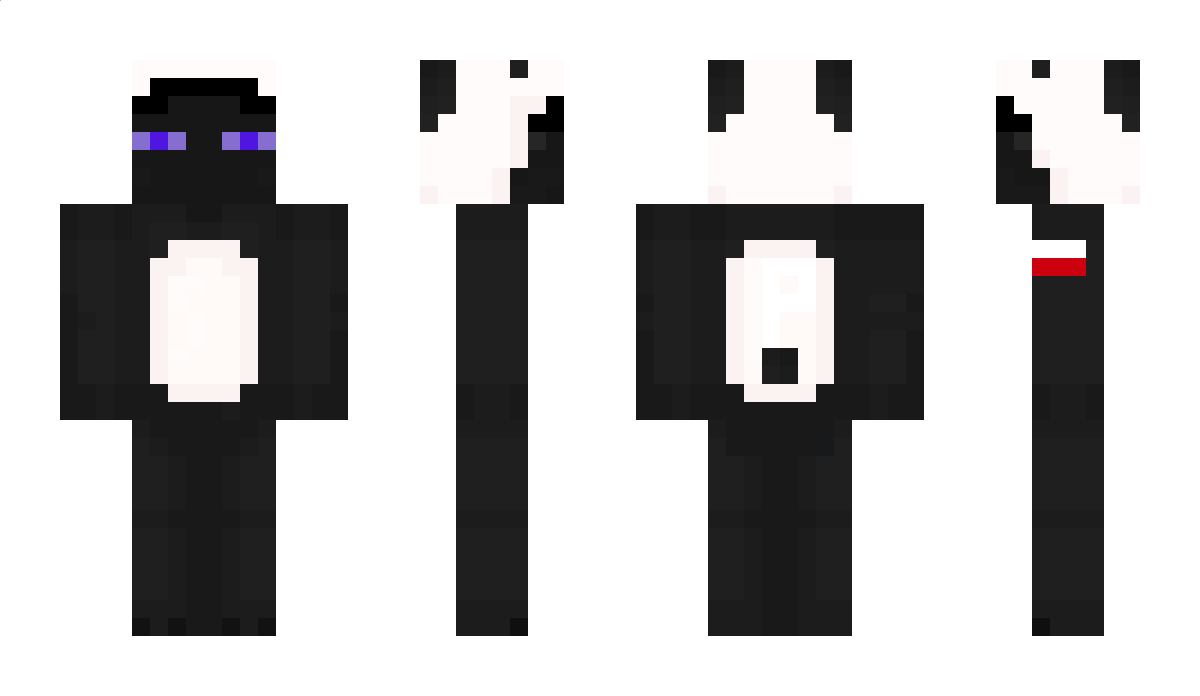 SEELLFO297 Minecraft Skin