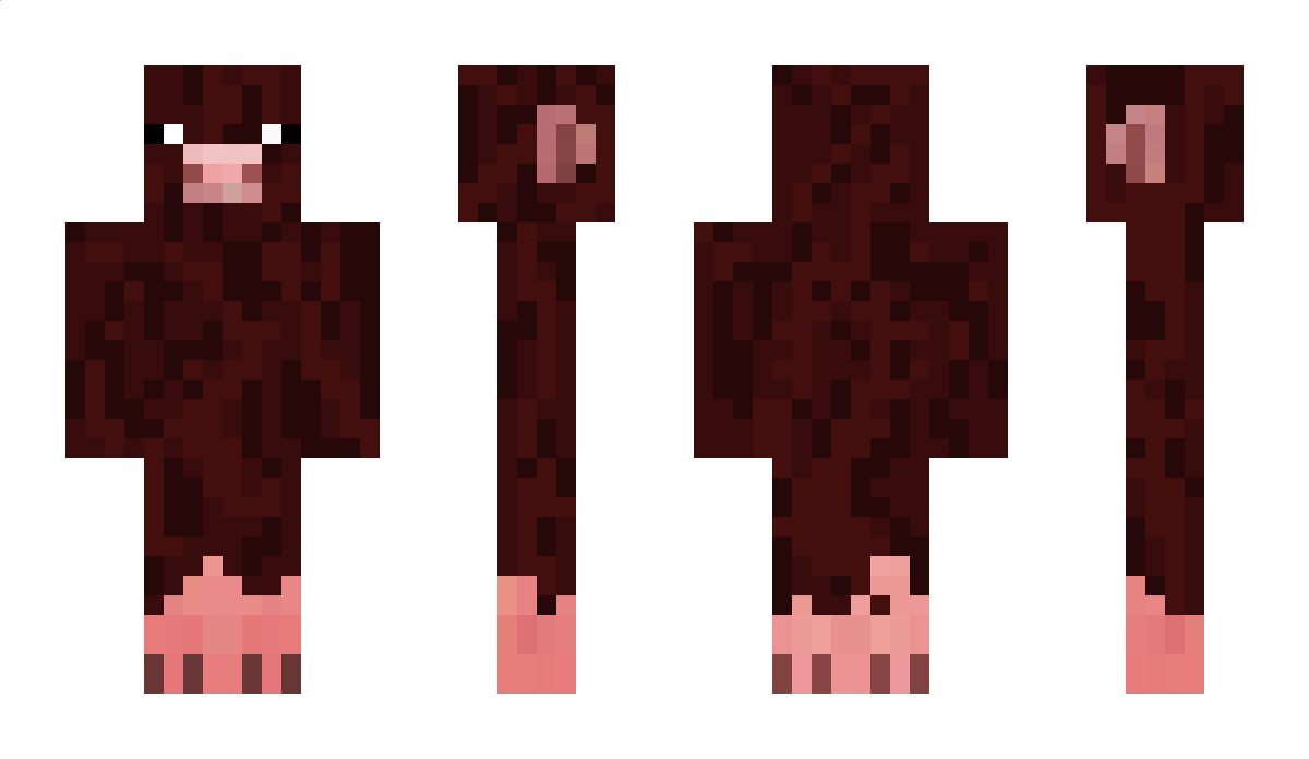 chokolatapig123 Minecraft Skin