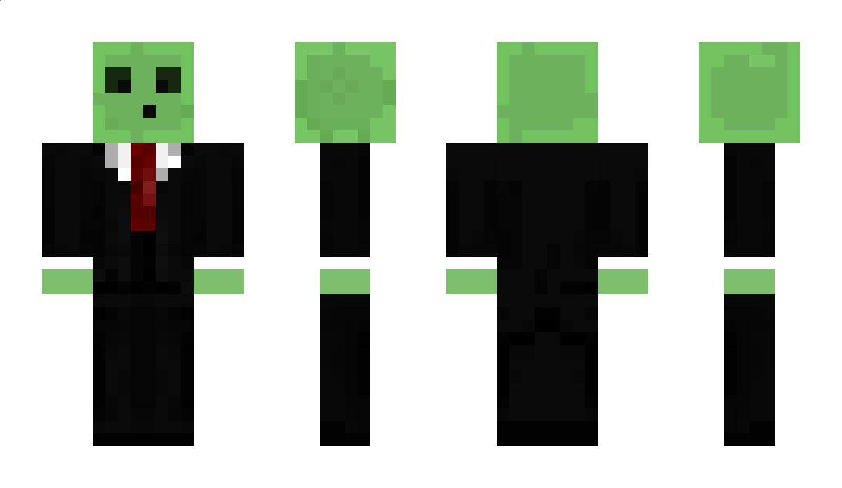 Mr_goose Minecraft Skin