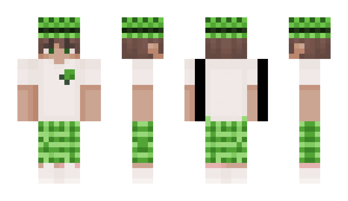 Terrorflo33 Minecraft Skin