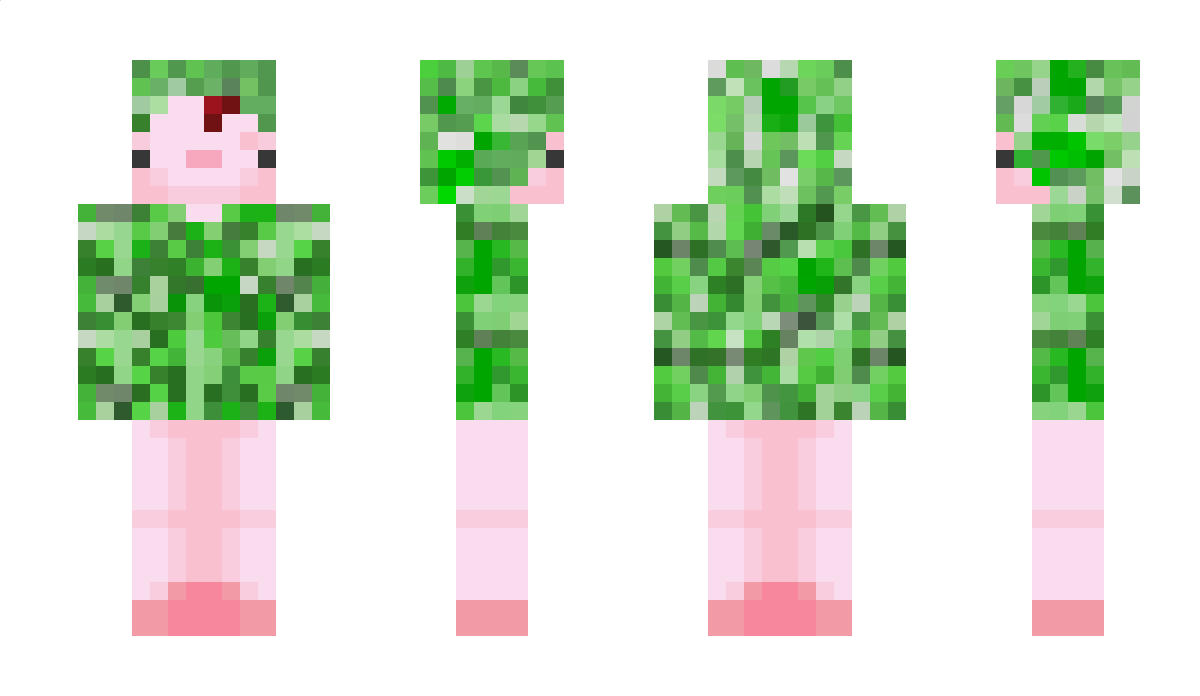 luguimi Minecraft Skin