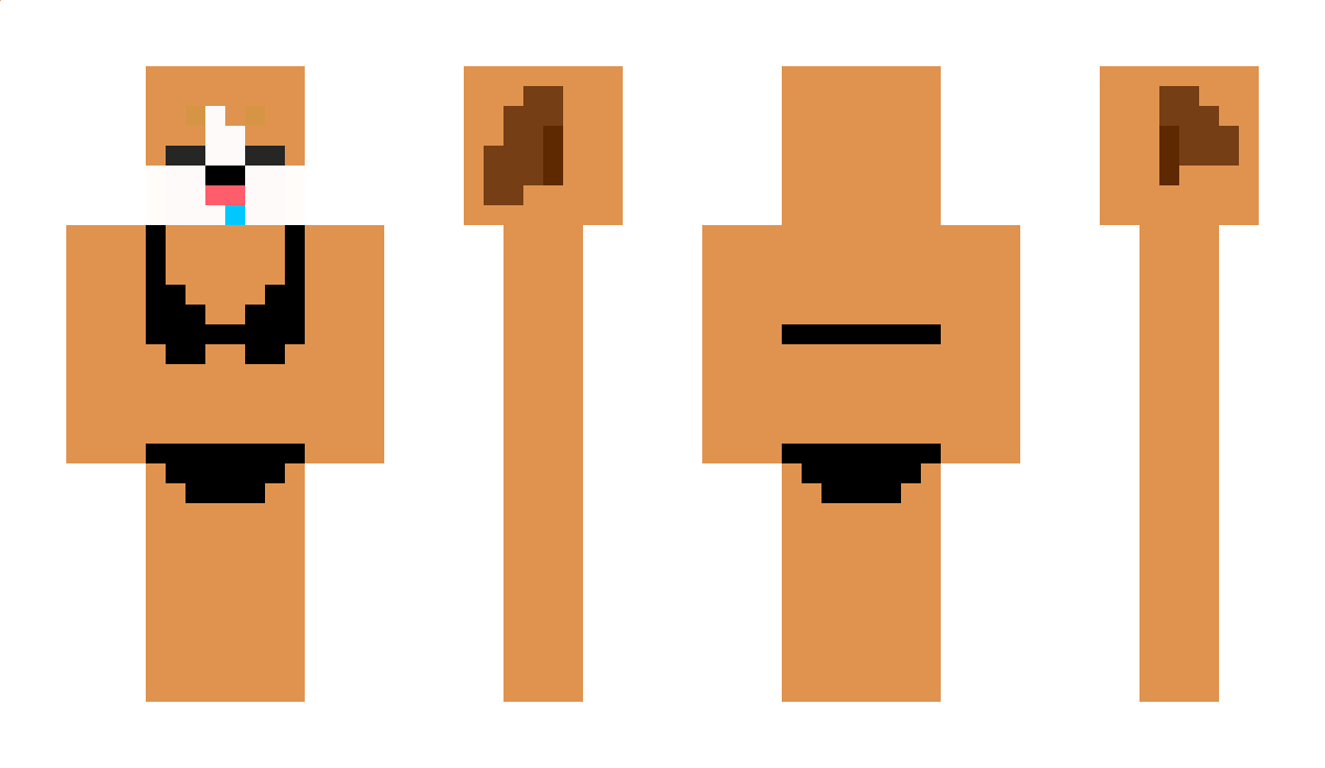 Qeen Minecraft Skin