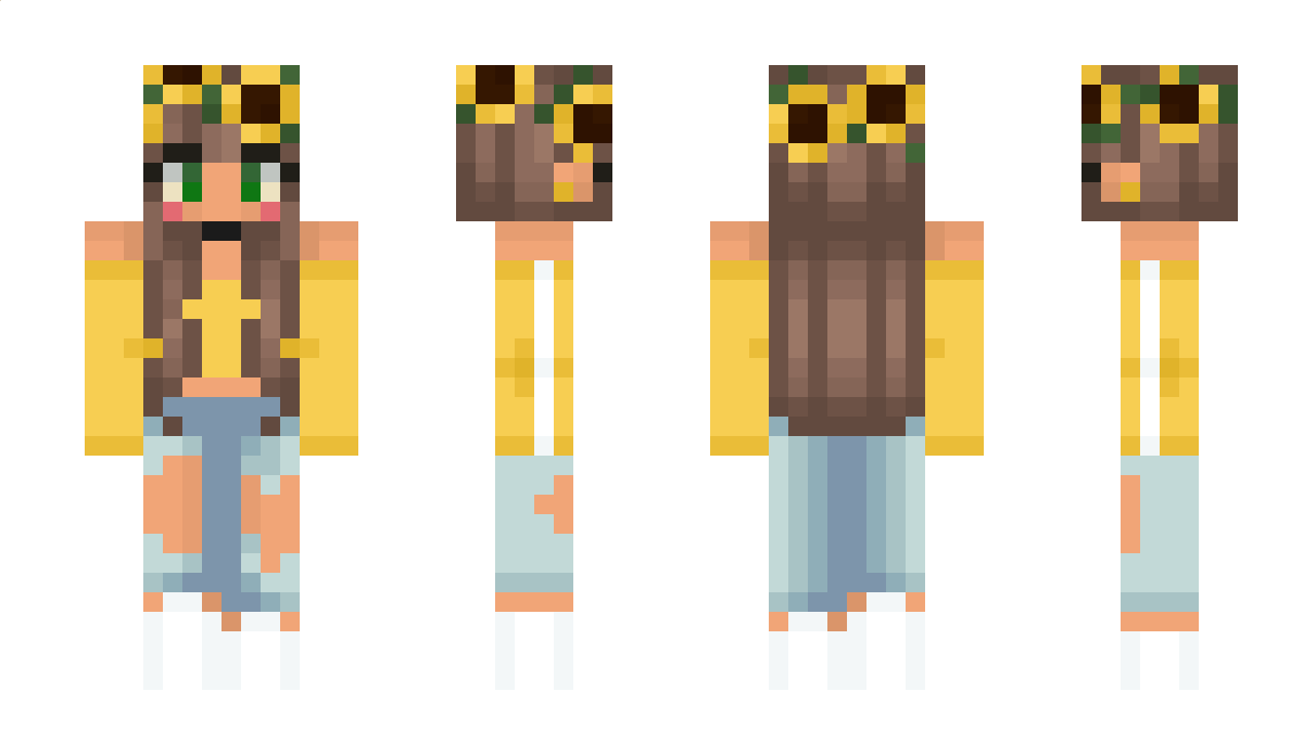 Holl Minecraft Skin