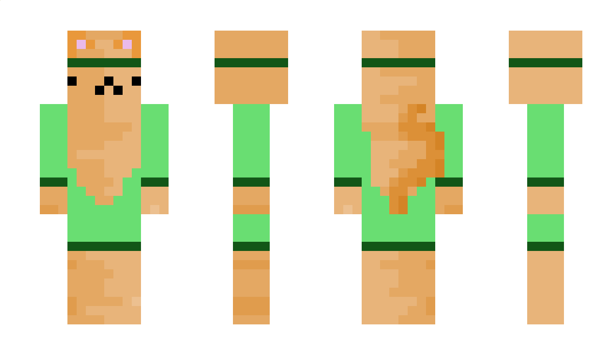 miniputzim Minecraft Skin