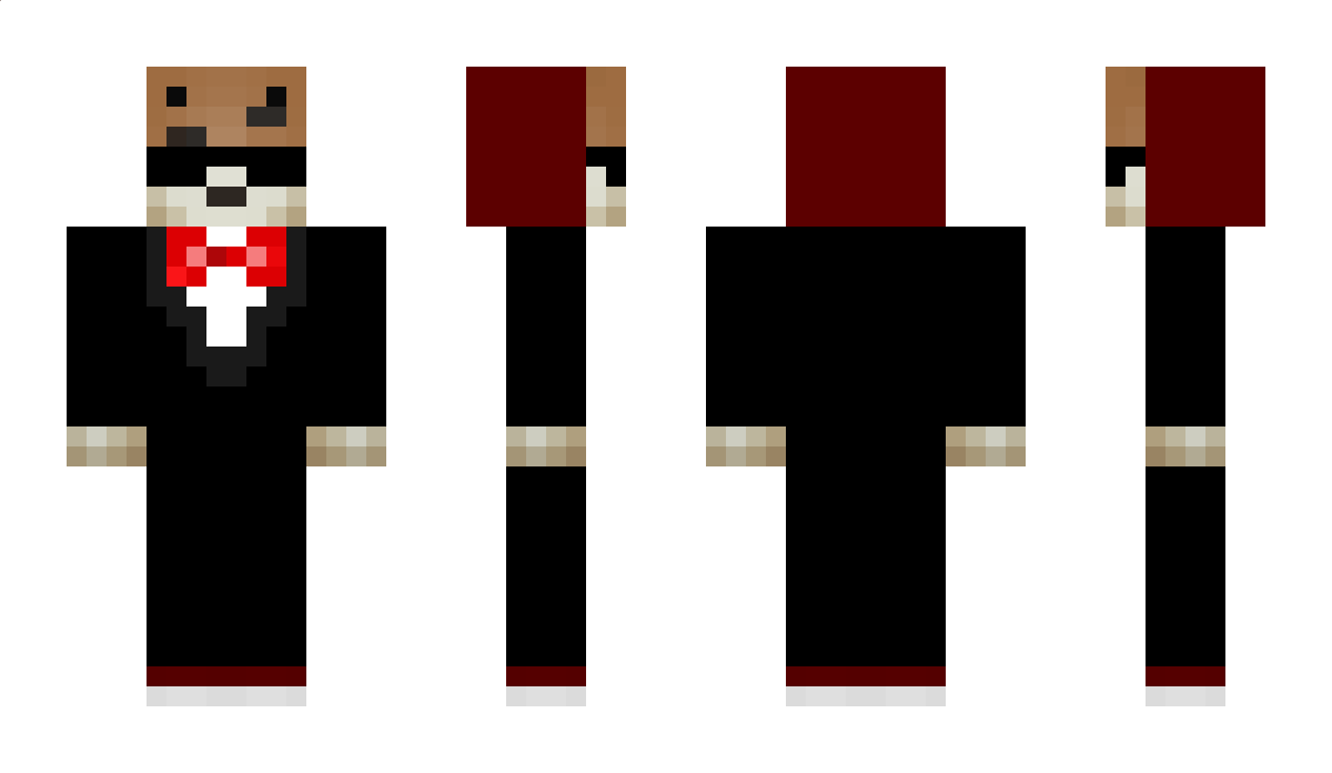 FluegelDruide64 Minecraft Skin