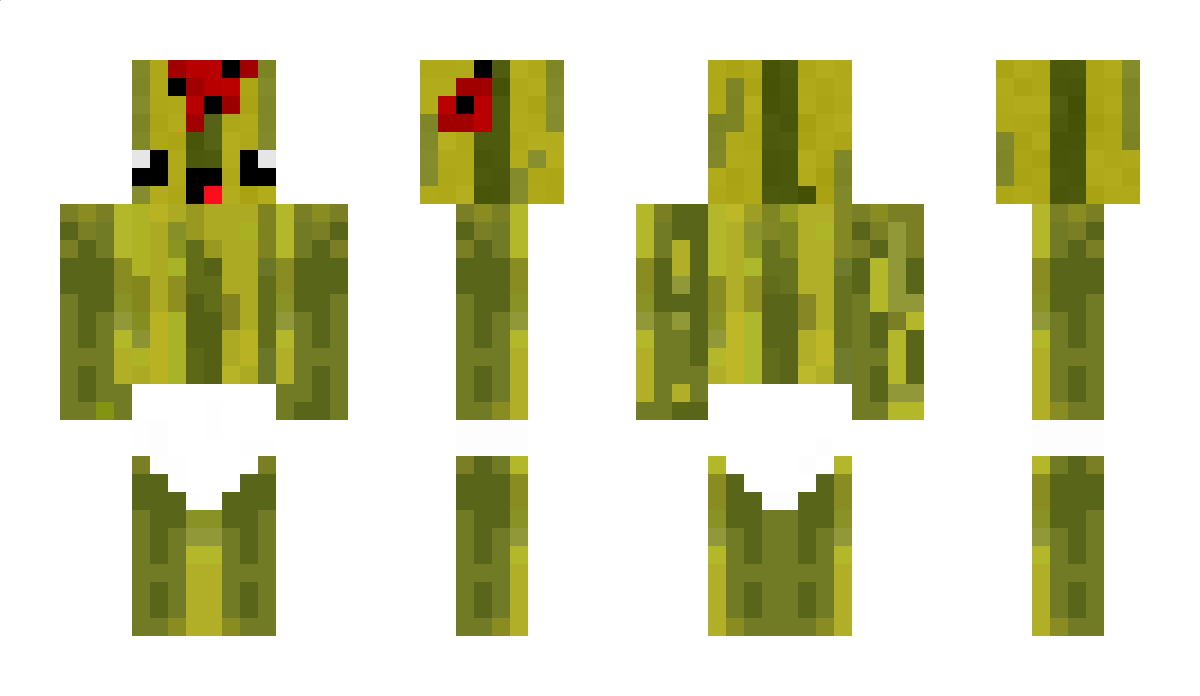 MUFASA069 Minecraft Skin