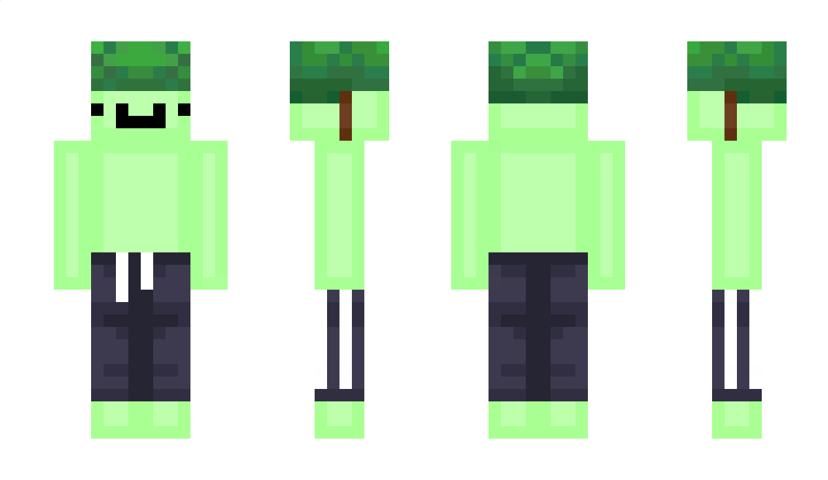 Turnk Minecraft Skin