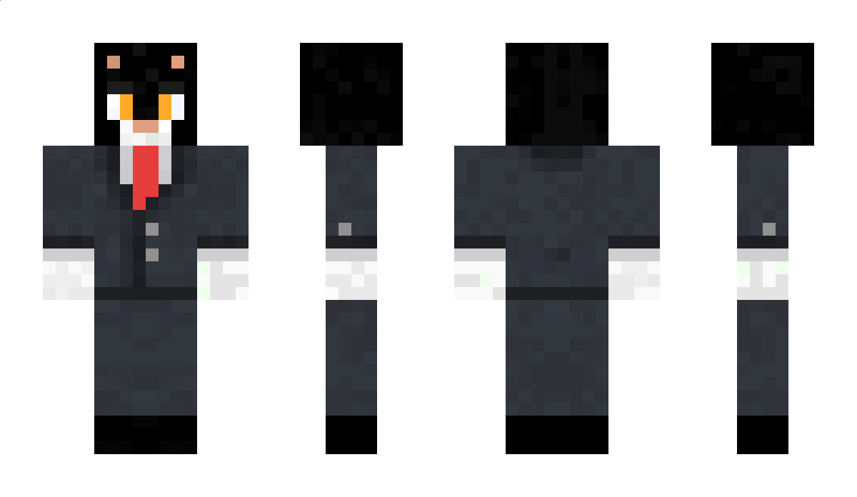 CatsSomeCat Minecraft Skin