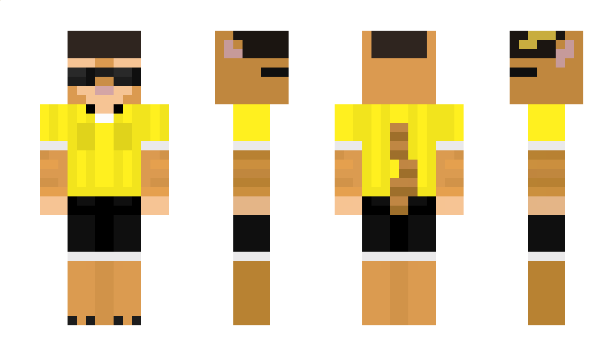 chimiau Minecraft Skin