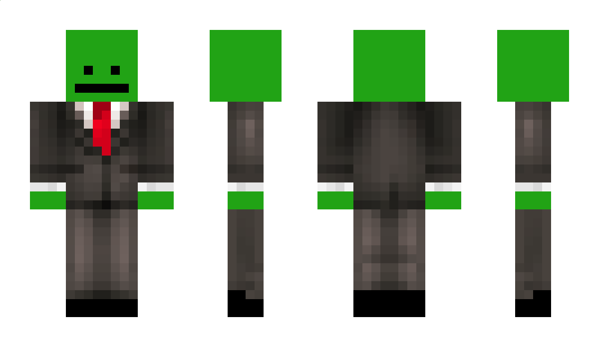 travellinggamr Minecraft Skin