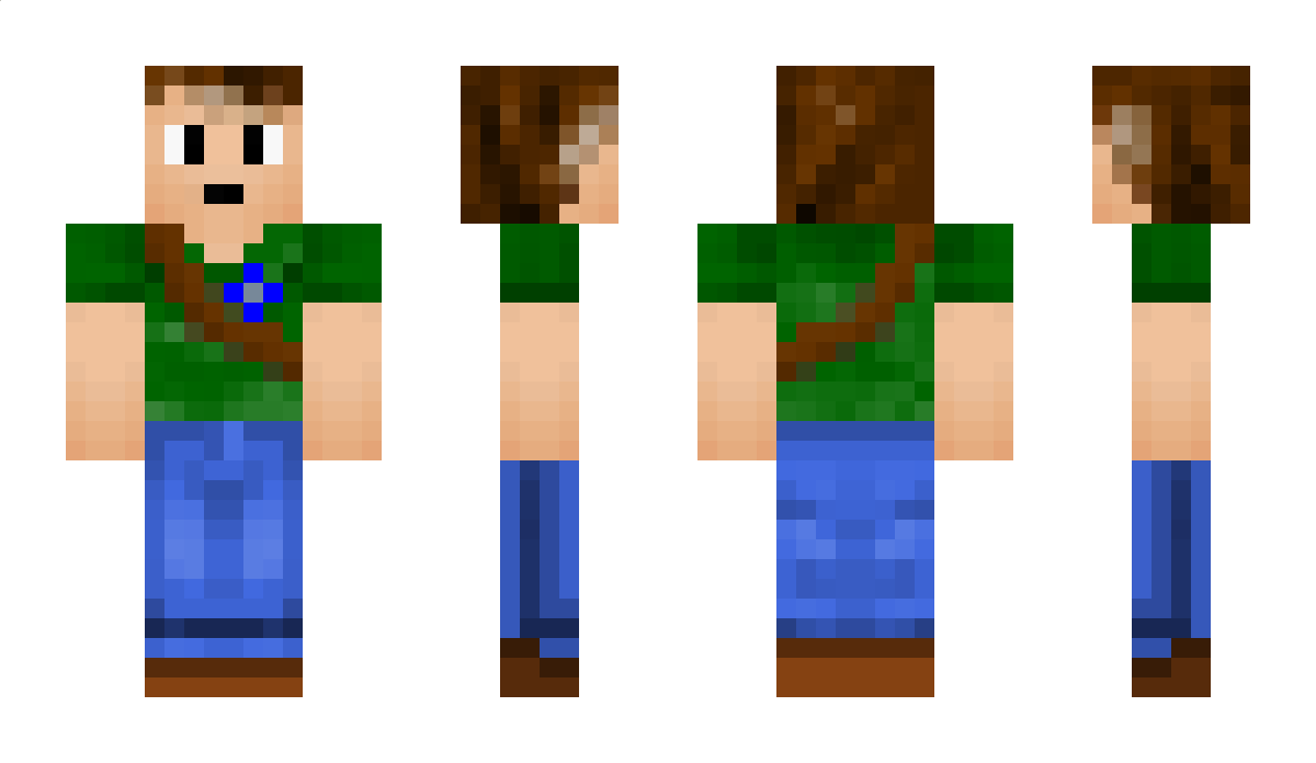 TheDomi13 Minecraft Skin