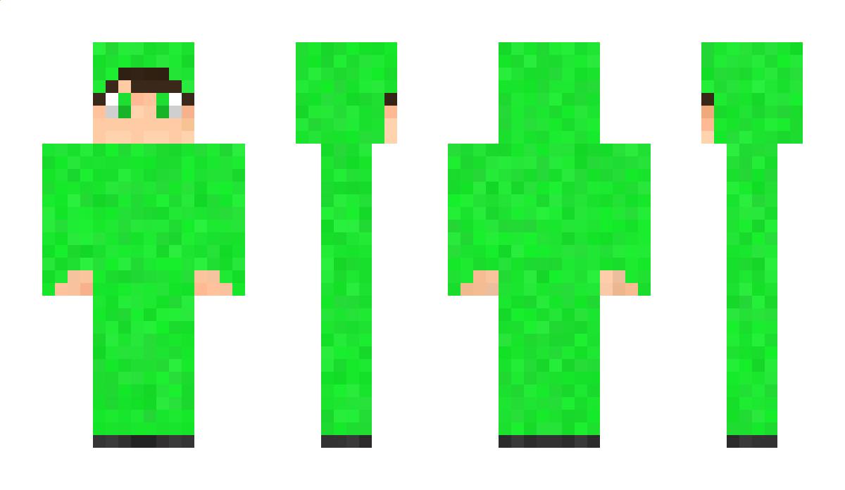 windwest05 Minecraft Skin