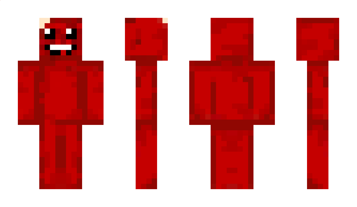 VLEESEVLONS Minecraft Skin